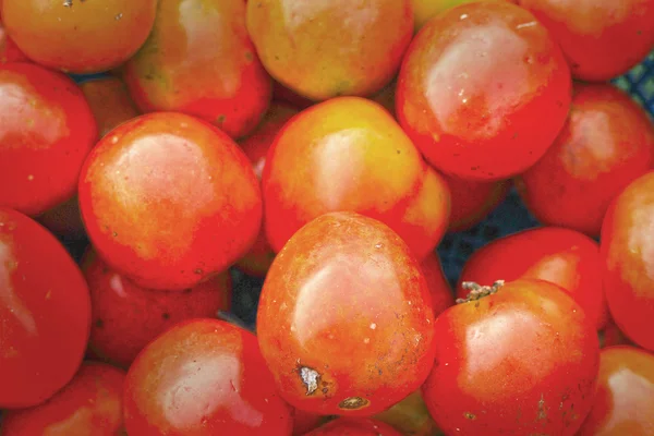 Färska tomater på marknaden. — Stockfoto