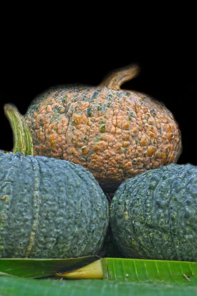 Färsk grön pumpa på marknaden — Stockfoto