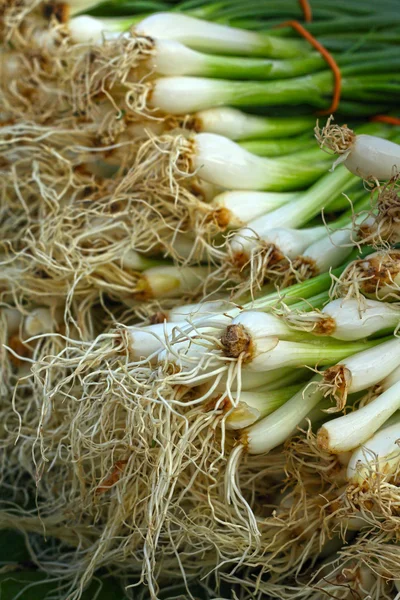 Frisches Gemüse - grüne Zwiebel auf dem Markt. — Stockfoto