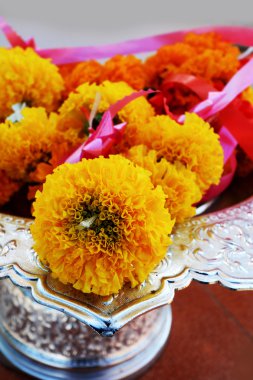 kadife çiçeği çelenk Tapınağı'nda.