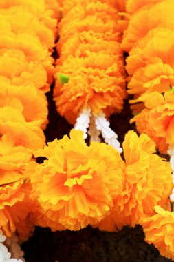 Marigold çiçek pazarında