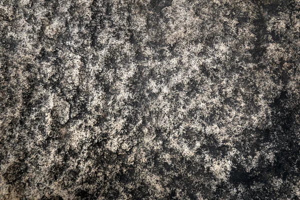 Текстура фону підлоги цементу — стокове фото