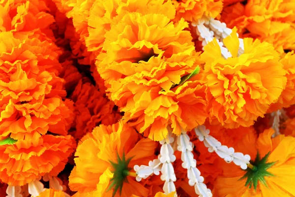 Marigold fleur sur le marché — Photo