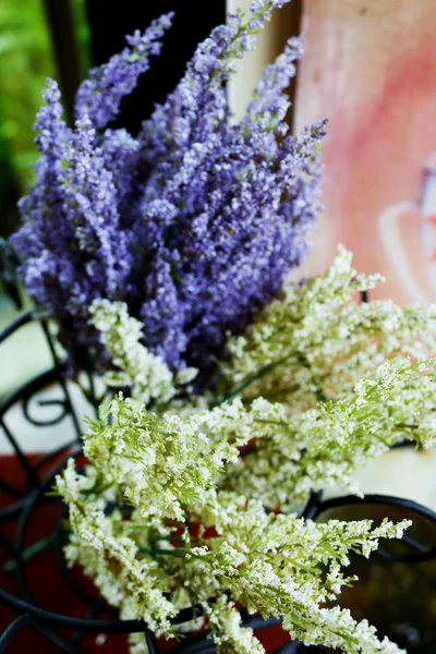 Lilla og hvide blomster i et stålbur . - Stock-foto