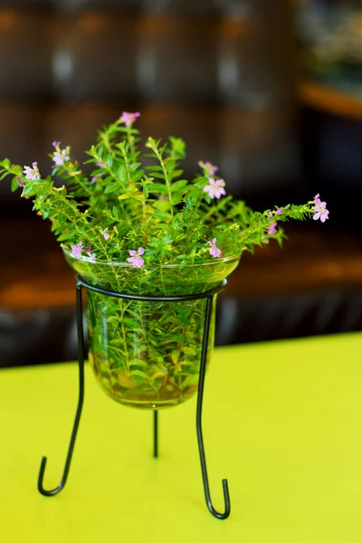 Malé růžové květy v sklenice na stole. — Stock fotografie