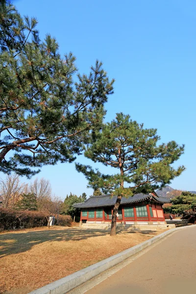 Strade Corea del Sud — Foto Stock