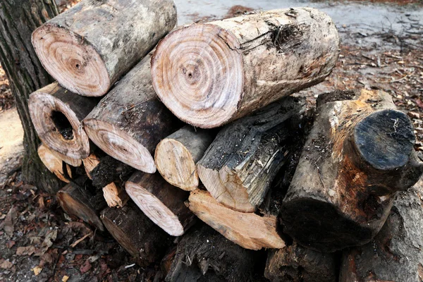 Pile of pine wood background texture — Stock Photo, Image