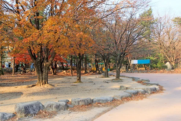 Ginkgo listy změnit barevný podzim v Koreji. — Stock fotografie