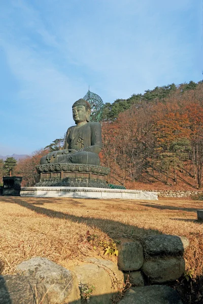 Velký buddha seoraksan korea. — Stock fotografie