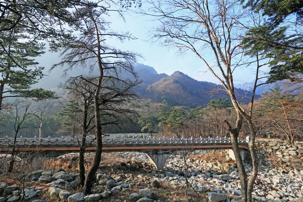 Krajobraz w Korei seoraksan. — Zdjęcie stockowe