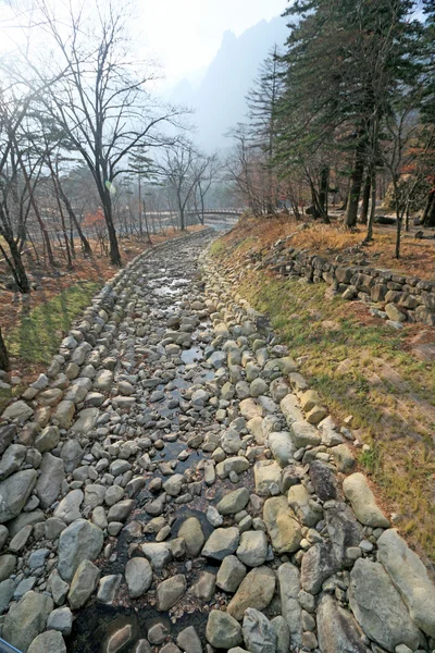 Krajina v Koreji seoraksan. — Stock fotografie
