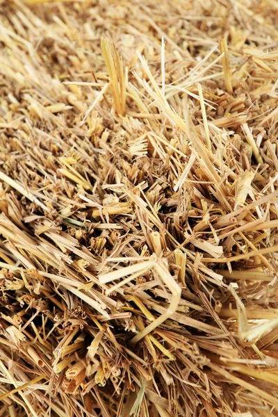 Close up of square straw. — Stock Photo, Image