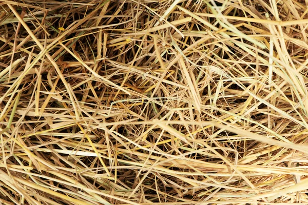 Close up of square straw. — Stock Photo, Image