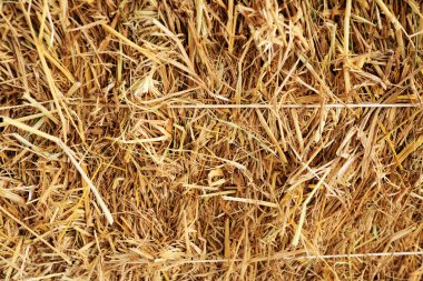 kare saman yakın çekim.