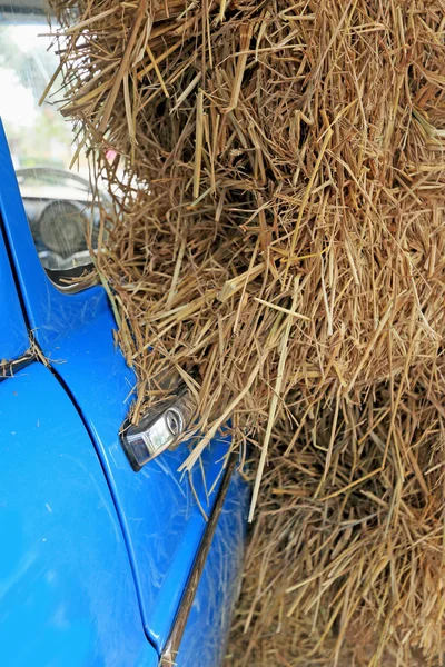 Part blue vintage car with a pile of straw. — Stock Photo, Image
