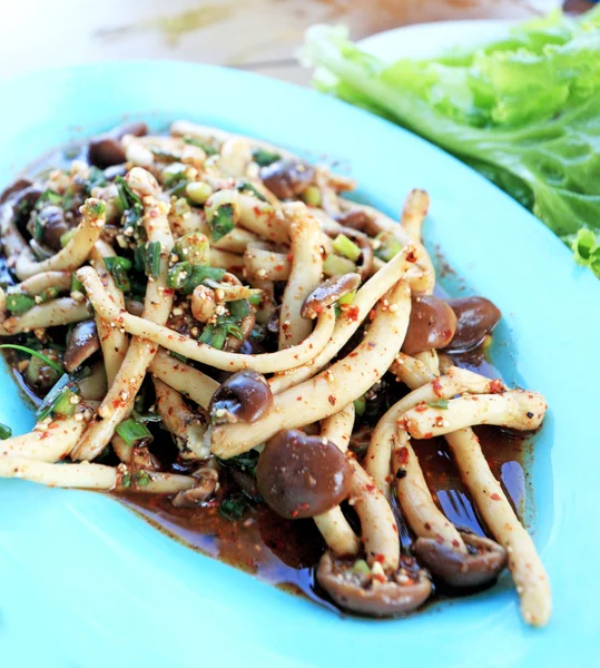 Salade de champignons épicée avec laitue verte . — Photo