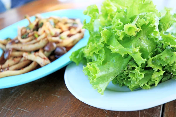 Salada de cogumelos picante com alface verde . — Fotografia de Stock