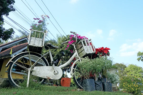 ビンテージ自転車. — ストック写真