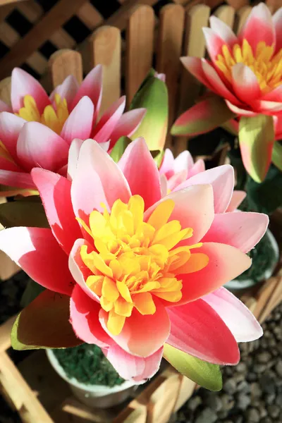 Flores artificiales de loto rosa —  Fotos de Stock