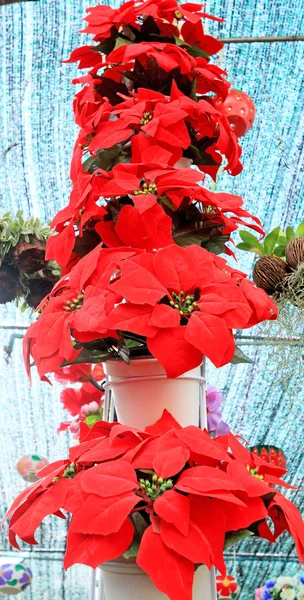 Árbol de Navidad línea roja . —  Fotos de Stock