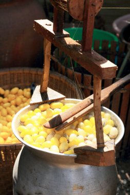 Koza ipekböceği yapımı