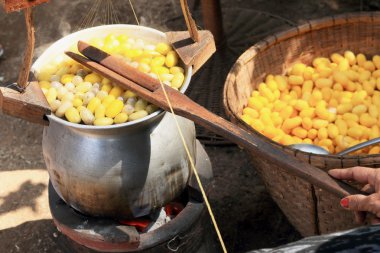 Koza ipekböceği yapımı