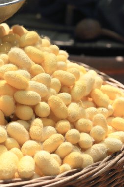 bir sürü sarı koza ipekböceği