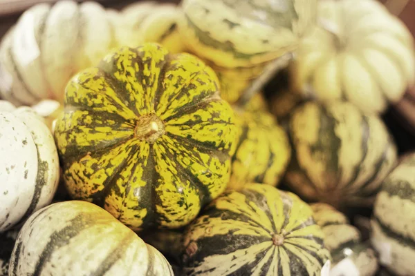 Colheita de abóbora fresca no mercado — Fotografia de Stock