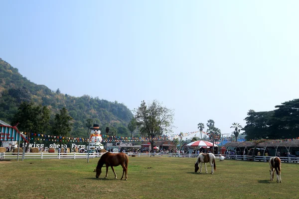 Caballos en la hierba cerca del paisaje montañoso . —  Fotos de Stock