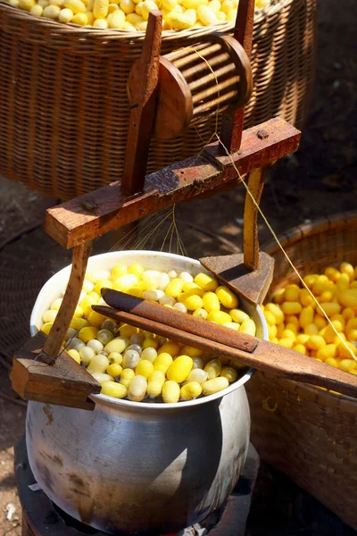 Fabricación del gusano de seda del capullo —  Fotos de Stock