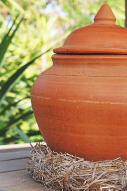 toprak kavanoz su ve Hindistan cevizi kabuğu