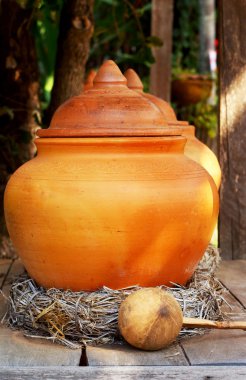 toprak kavanoz su ve Hindistan cevizi kabuğu