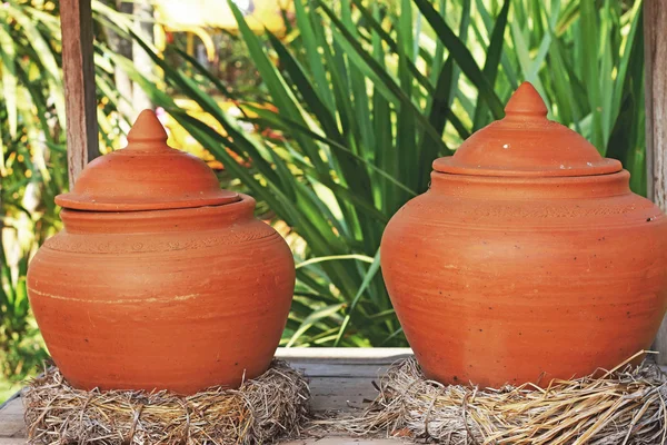 Vasi di terra acqua e gusci di cocco — Foto Stock