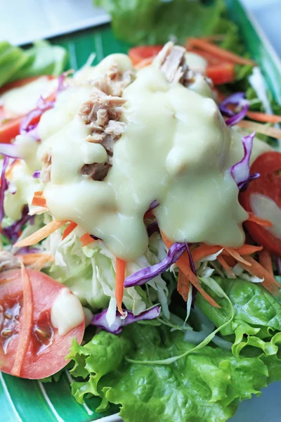Thunfischsalat auf Salat und Sahnesoße. — Stockfoto