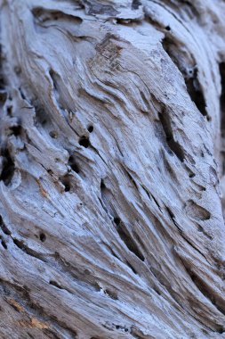 kahverengi eski ahşap arka plan doku