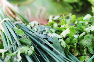 taze soğan ve kişniş Pazar