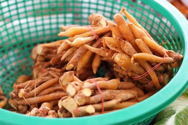 Fingerroot herb in asia - in market — Stock Photo, Image