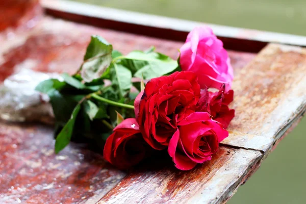 Czerwona róża umieszczone na dziobie. — Zdjęcie stockowe