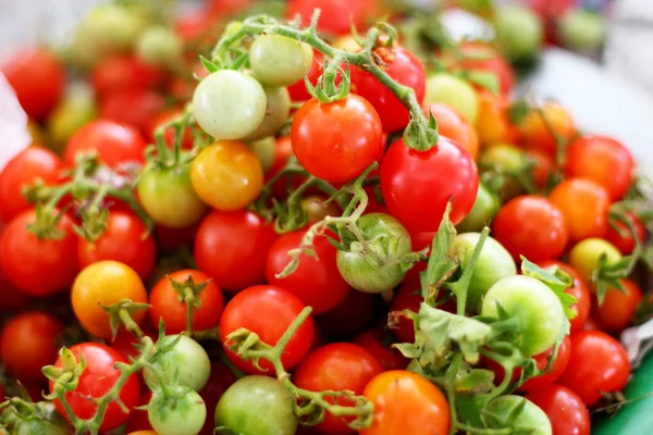 Frische Tomaten auf dem Markt — Stockfoto