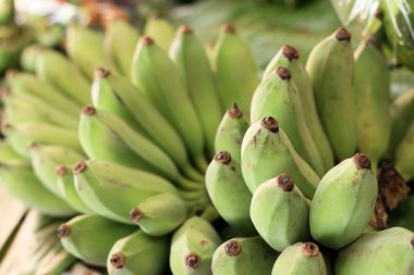 maket yakın çekim muz