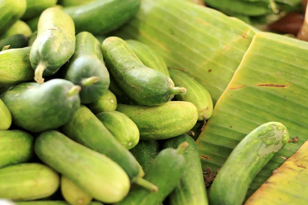 Gurka på marknaden — Stockfoto