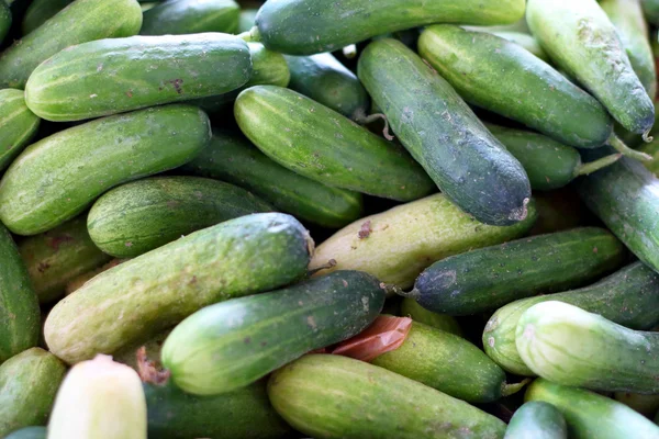 Cucumber in the market — Stock Photo, Image