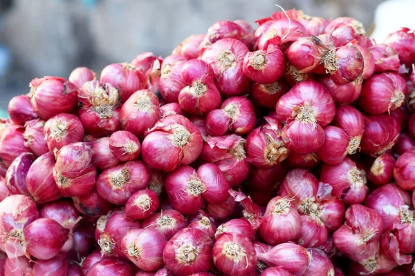 Chalota - Ásia cebola vermelha no mercado — Fotografia de Stock