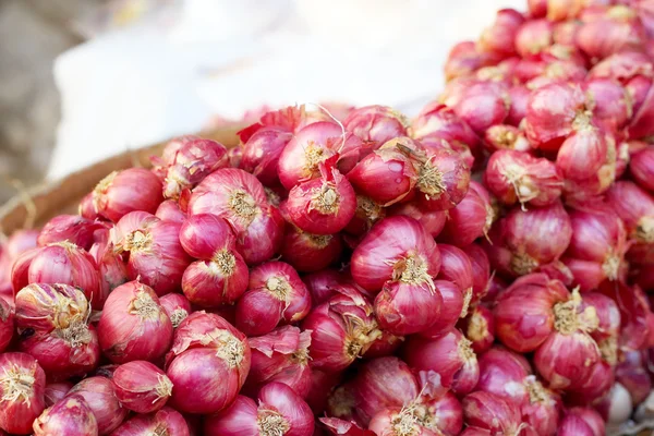 Scalogno - asiatica cipolla rossa nel mercato — Foto Stock