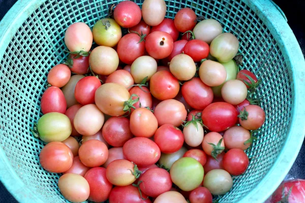 Fresh tomatoes in the market — Stock Photo, Image