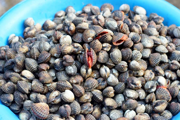 Coco fresco no mercado — Fotografia de Stock