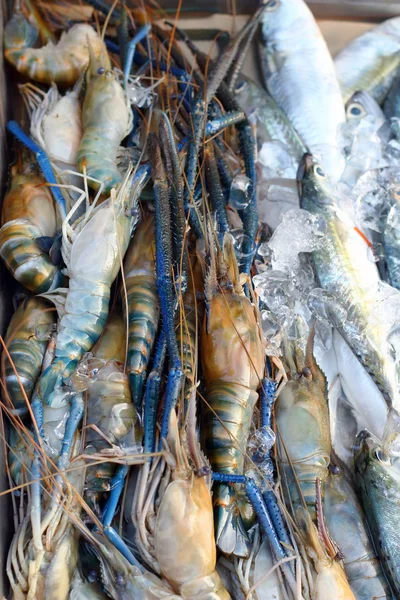 Peixe fresco no mercado. — Fotografia de Stock