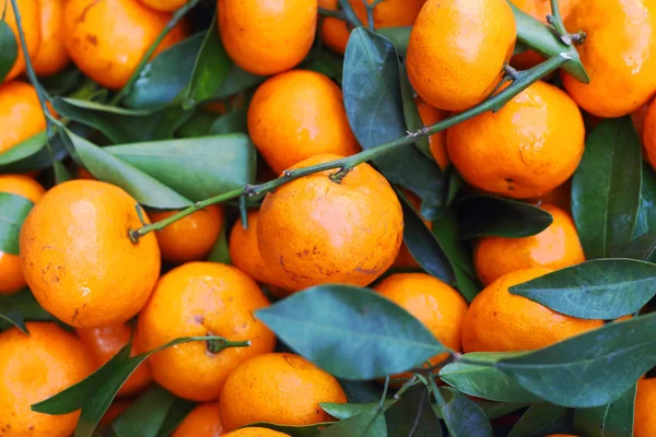 Frutas de laranja no mercado — Fotografia de Stock