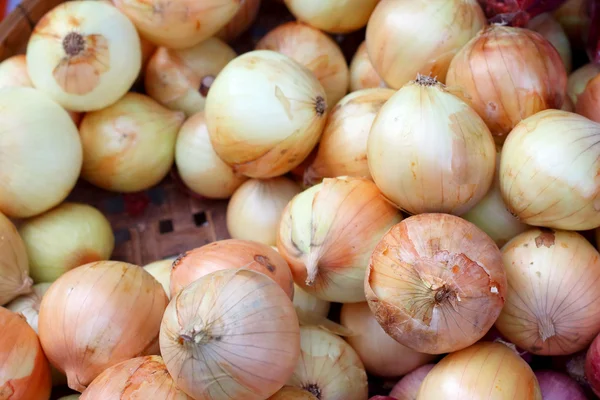 Verse uien op de markt — Stockfoto