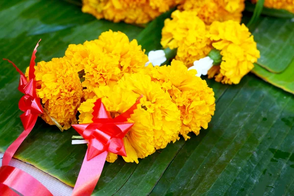 Marigold çiçek pazarında — Stok fotoğraf